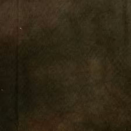 Palette Solids Burnt Umber, 100% High Density Cotton from Windham Fabrics by Marcia Derse