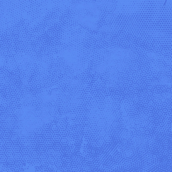 DIMPLES Dimples Delphinium