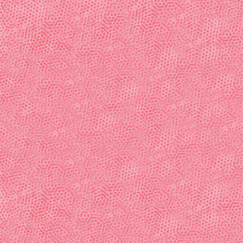 DIMPLES Dimples Carnation