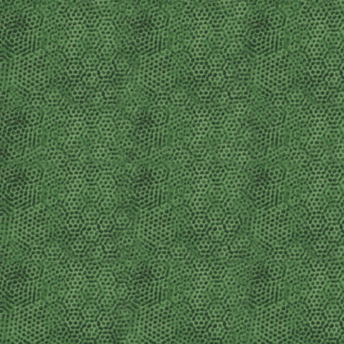 DIMPLES Dimples Fern