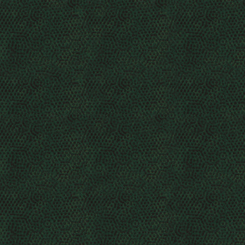 DIMPLES Dimples Hunter