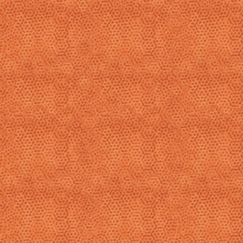 DIMPLES Dimples Carrot