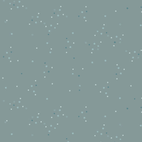 Twinkle Little Stars in Sky from the Adventale Collection - AGF Fabrics