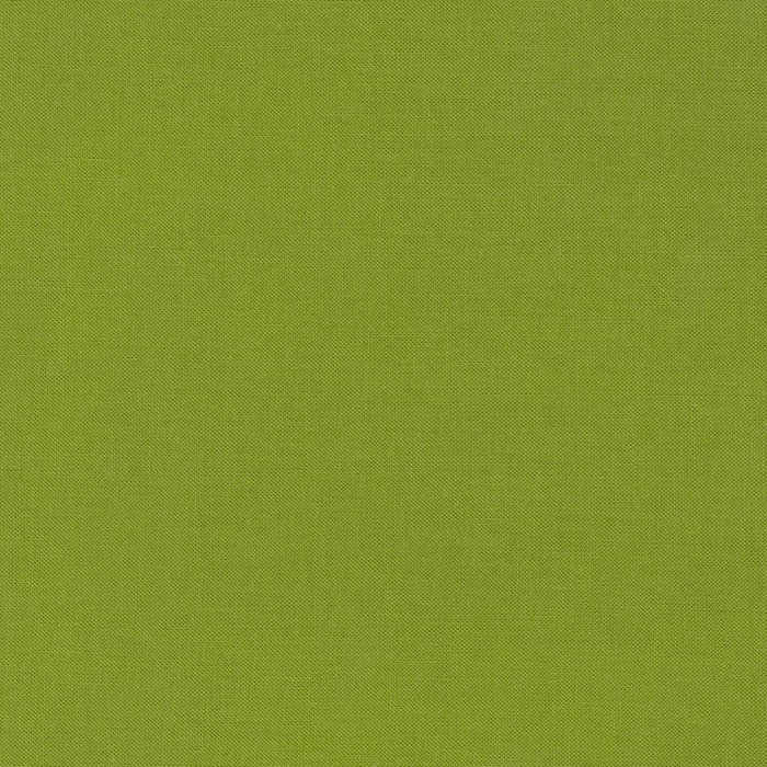 Gecko Kona Cotton Solids from Robert Kaufman by the Yard