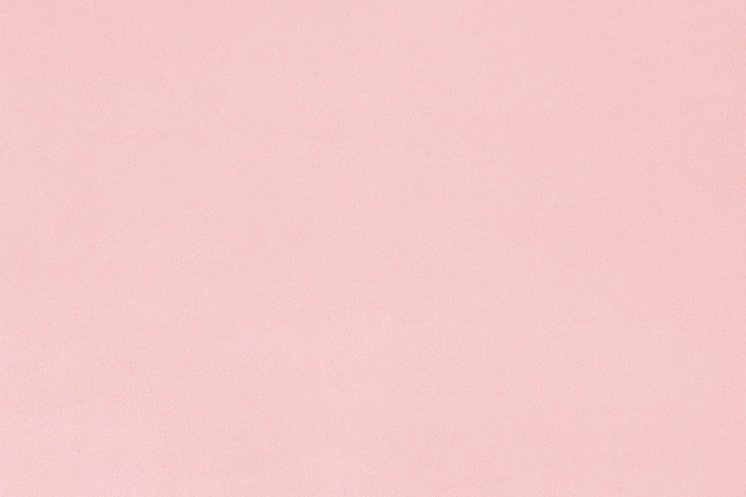 MINKY – 90” Extra Wide C390 ROSEWATER Smooth Cuddle From Shannon Fabrics
