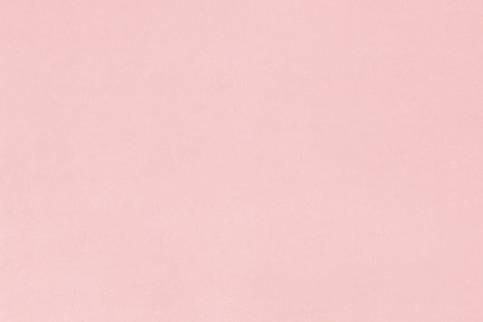 MINKY – 90” Extra Wide  C390 ROSEWATER Smooth Cuddle From Shannon Fabrics