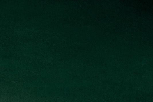 MINKY – 90” Extra Wide  C390 SPRUCE Smooth Cuddle From Shannon Fabrics