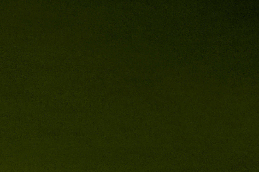 Minky - Loden Solid Cuddle 3 Smooth Minky