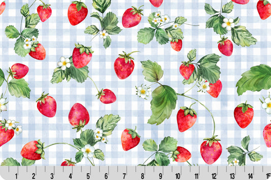 Cloud Cuddle Minky - Berry Sweet Cloud Cuddle Multi Double Sided Minky From Shannon Fabrics