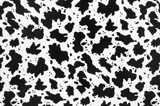 Minky - Cow Moo Digital Cuddle Black From Shannon Fabrics