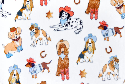 Minky - Daisy Dukes Digital Cuddle Multi From Shannon Fabrics