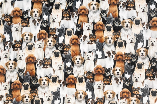 Minky - Dog-Pile Digital Cuddle Beige From Shannon Fabrics