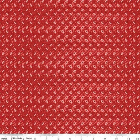 Unity in Schoolhouse from the Americana Collection by Lori Holt for Riley Blake Designs