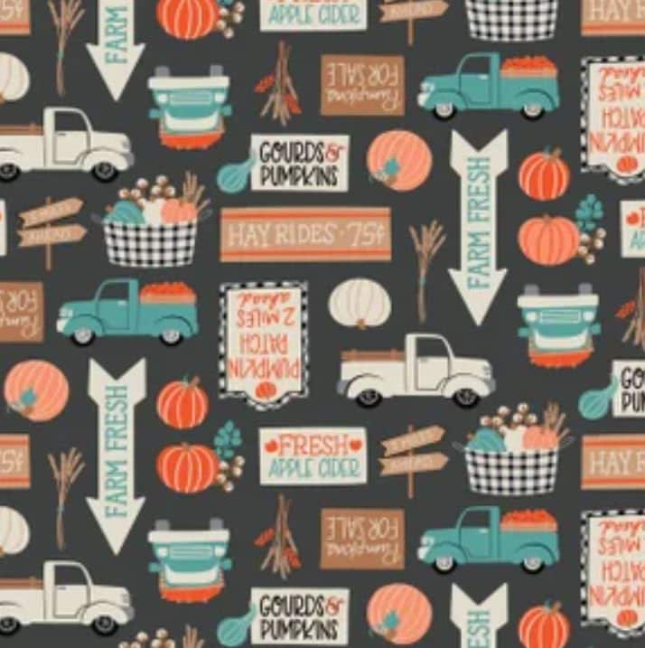 Minky - Pumpkin Patch in Charcoal from Camelot