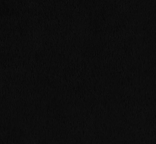 Minky - Discontinued- Luxe Cuddle Sable BLACK From Shannon Fabrics