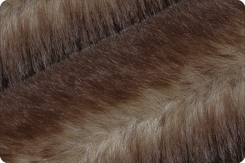 Minky - Luxe Cuddle Frosted Baby Seal COFFEE CAKE From Shannon Fabrics