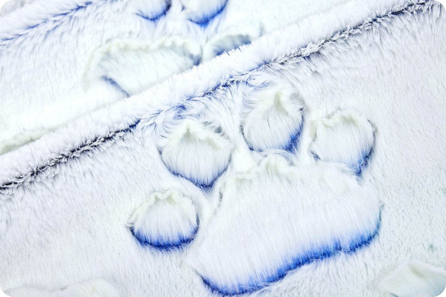 Minky - Luxe Cuddle® Embossed Prism Paws NAUTICAL BLUE From Shannon Fabrics