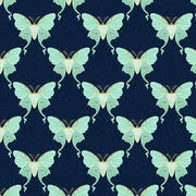 Moths in Navy from the Backyard Bugs Collection - Paintbrush Fabrics
