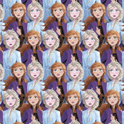 FLEECE - Frozen II Elsa and Anna from Springs Creative by the Yard