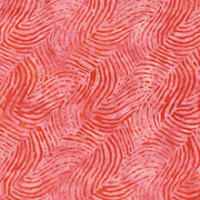 Pizzazz-Strokes in Coral from Anthology Fabrics