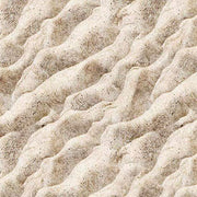 Earthly Delights-Sand in Sand from QT Fabrics