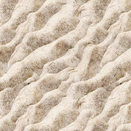 Earthly Delights-Sand in Sand from QT Fabrics