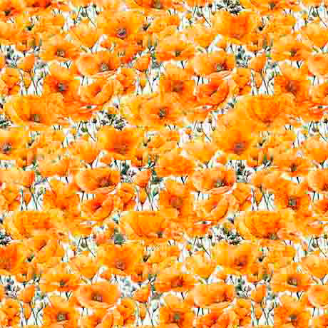 California Dreaming-Poppies in Orange from QT Fabrics