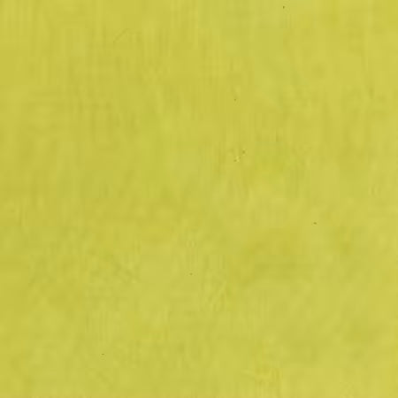 Palette Solids Lemongrass, 100% High Density Cotton from Windham Fabrics by Marcia Derse