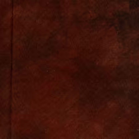 Palette Solids Salted Carmel, 100% High Density Cotton from Windham Fabrics by Marcia Derse