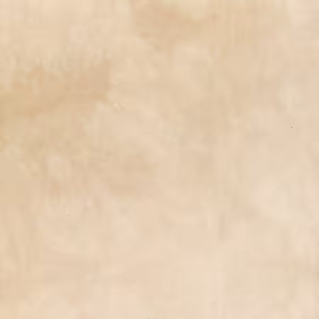 Palette Solids Almond, 100% High Density Cotton from Windham Fabrics by Marcia Derse