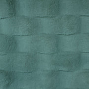 Minky -Lux Snuggle Roam AGAVE From EZ Fabric