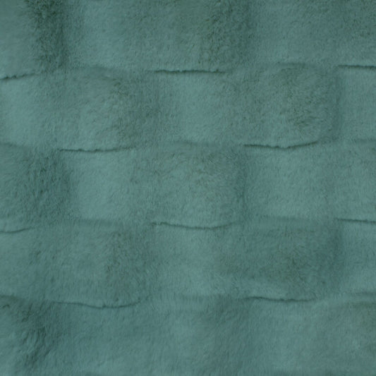 Minky -Lux Snuggle Roam AGAVE From EZ Fabric