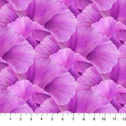 Flower Blossoms in Pansy Purple from Lush Collection by Hilary Mayes for Northcott Fabric - 100% High Quality Quilt Shop Cotton