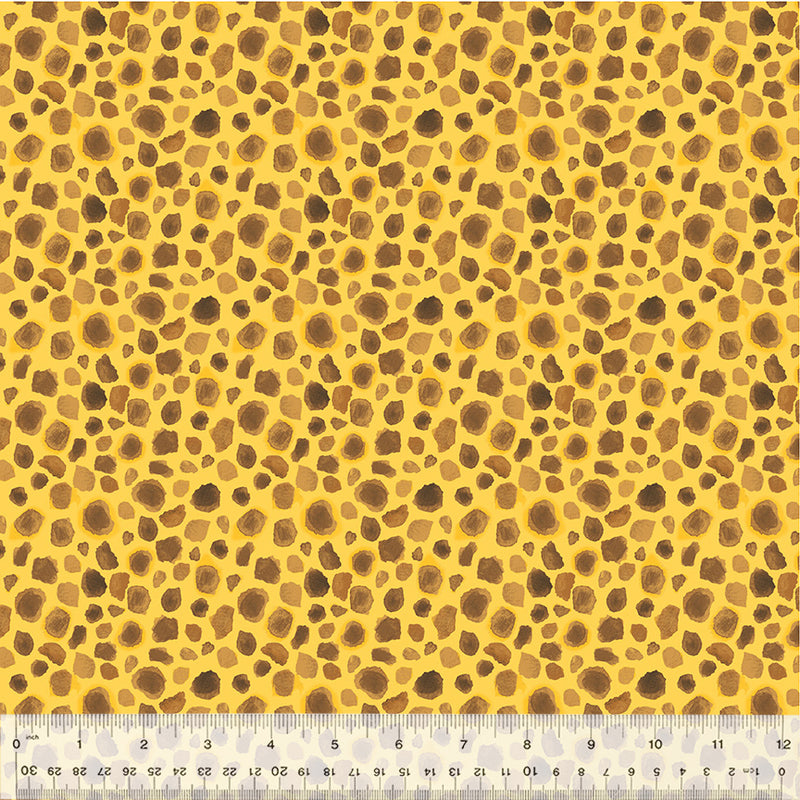First Spots in Golden from the King of the Jungle Collection by Whistler Studios - Windham Fabrics