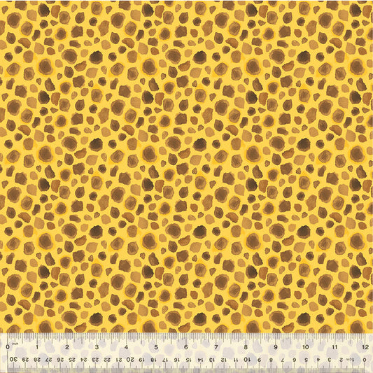First Spots in Golden from the King of the Jungle Collection by Whistler Studios - Windham Fabrics