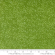 Dotty Thatched in Grass by Robin Pickens from Moda Fabrics