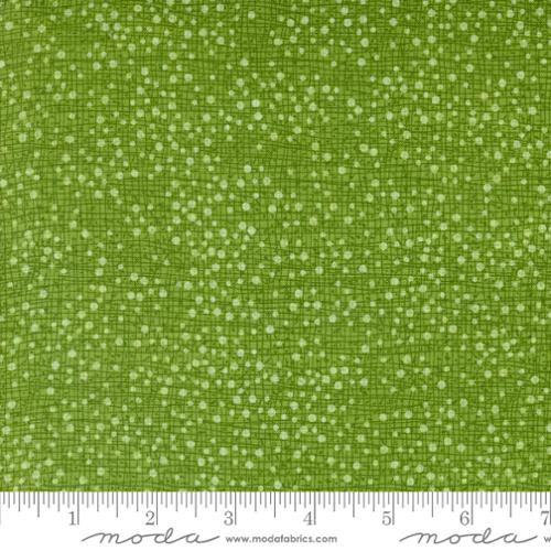 Dotty Thatched in Grass by Robin Pickens from Moda Fabrics