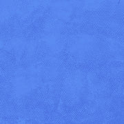 DIMPLES Dimples Delphinium