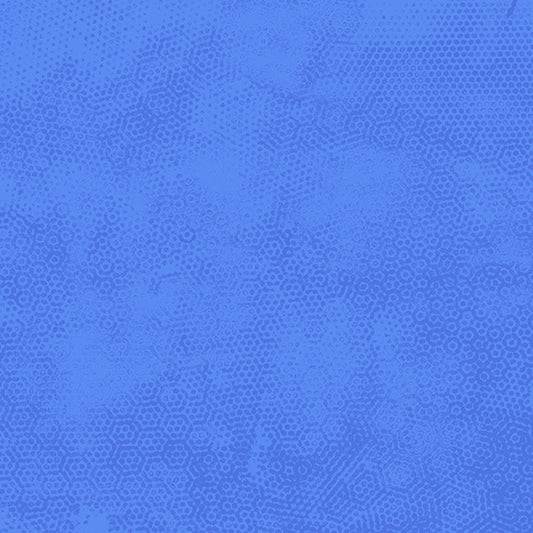 DIMPLES Dimples Delphinium