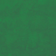 DIMPLES Dimples Evergreen