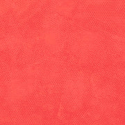 DIMPLES Dimples Coral