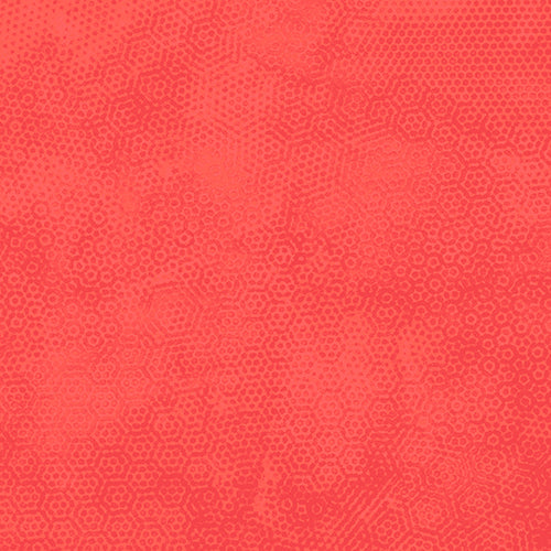 DIMPLES Dimples Coral