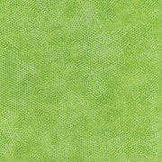DIMPLES Dimples Olivine