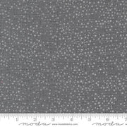 Dotty Thatched in Lead by Robin Pickens from Moda Fabrics