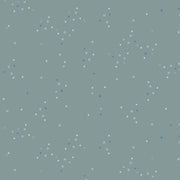 Twinkle Little Stars in Sky from the Adventale Collection - AGF Fabrics