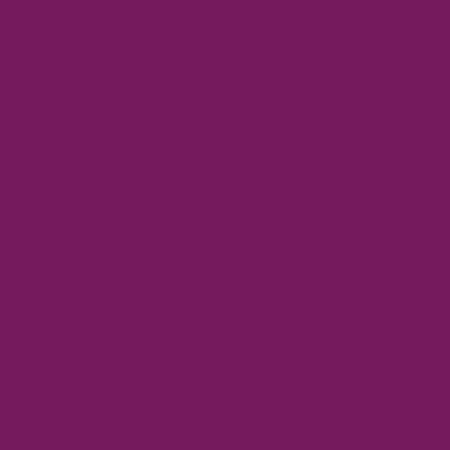 Boysenberry Confetti Cotton Solid from Riley Blake Designs