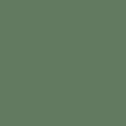 Solid Chive,  Confetti Cotton Solid from Riley Blake Designs