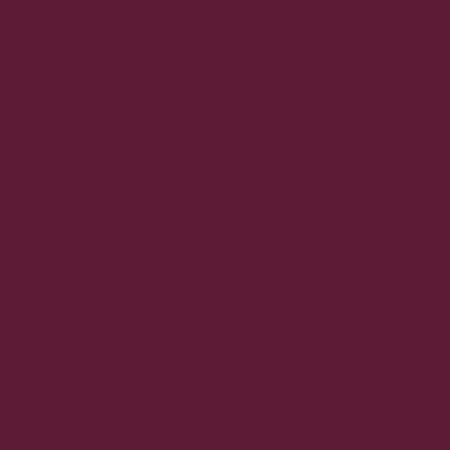 Crimson Confetti Cotton Solid from Riley Blake Designs
