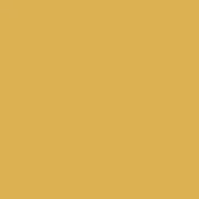 Golden Confetti Cottons Solid from Riley Blake Designs