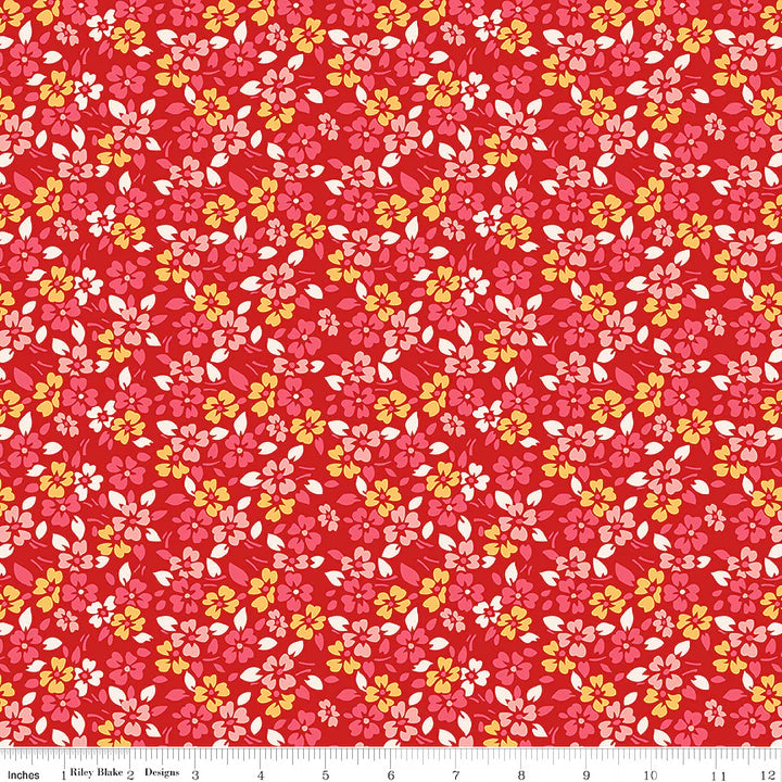 Glory in Schoolhouse from the Americana Collection by Lori Holt for Riley Blake Designs